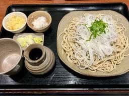 遊庵