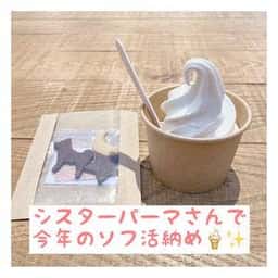シスターパーマ