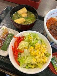 なか卯 秋葉原昭和通り口店