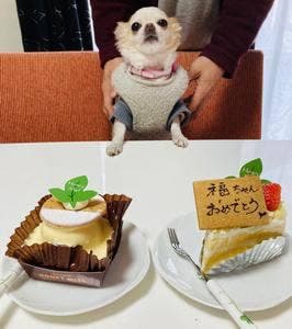 パティスリーハニーミエル