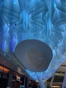 スターバックス コーヒー 羽田空港 蔦屋書店