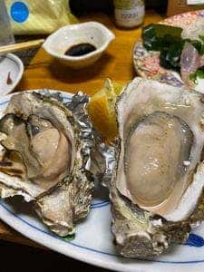 居酒屋 豊