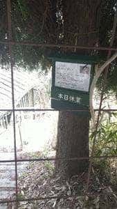 Asato