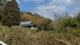 Asato