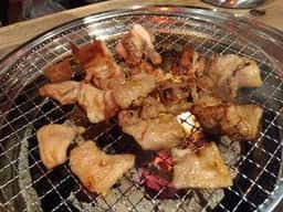豚日兄弟