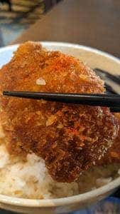 越後 妻有庵