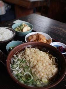 たぬき