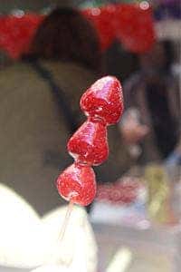 フルーツ 果物王国