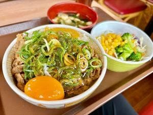 すき家 309号堺黒山店