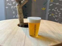 THE STANDARD DRINKS
