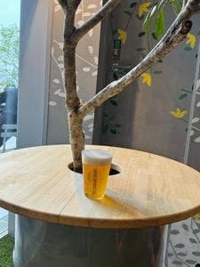 THE STANDARD DRINKS