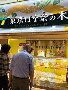 東京ばな奈の木