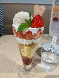 星のキッチン