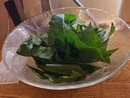 ナナメ上をゆく