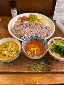 初台スパイス食堂 和魂印才たんどーる