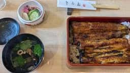 鰻処さかた