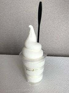 Moon ice