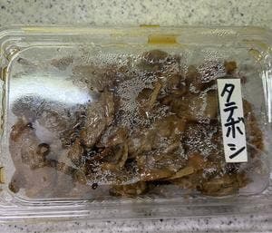 大國屋