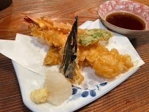広尾巴屋