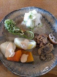 植物と人 棘