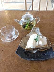 植物と人 棘