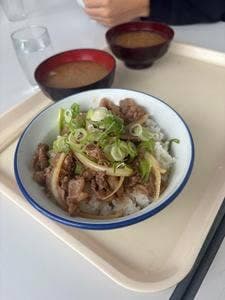 茶屋しらかば