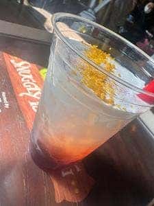 スナグリーダックリング