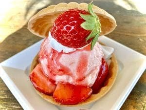 いい里 さかがわ館 そばレストラン