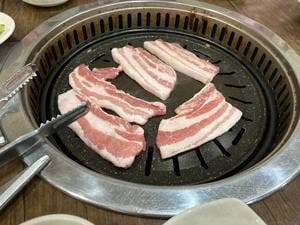 アリの家