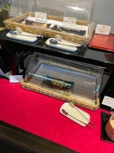 紙屋川
