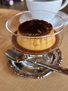 TRANSIT COFFEE ROASTERS
