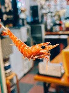 こてつ 桜坂店