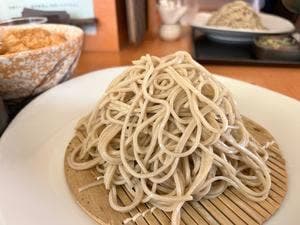 SOBAR 和家
