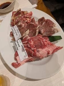 極み塩熟成ジンギスカン ゆうひ 南五条店