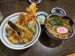 たつみ