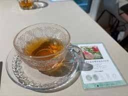 YOTSUBA TEA