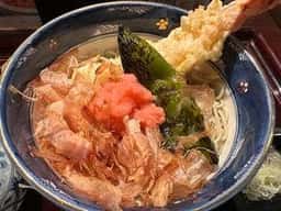 しながわ十琴
