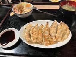 ギョーザのやまざき
