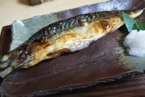 四季菜