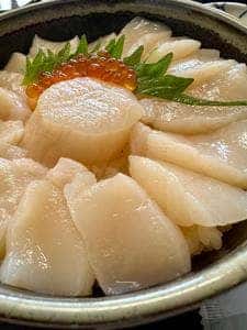 さるふつまるごと館