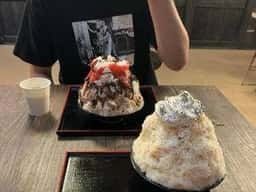 フクロウの森