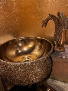 京都炭火焼鳥 アホウどり 聖護院店