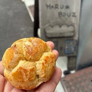 ハルボウズ