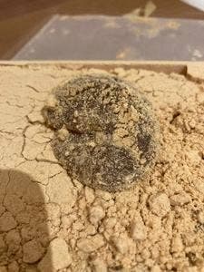 ツバメヤ 大名古屋ビルヂング店