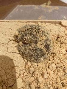 ツバメヤ 大名古屋ビルヂング店