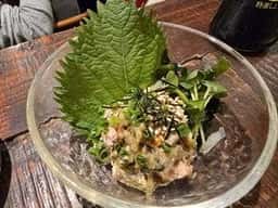 オモウツボ俺たちの旅編
