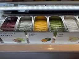 リビスコ 自由が丘店