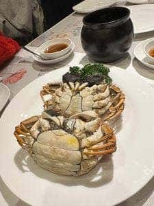 施家菜