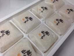 梅花堂 越山