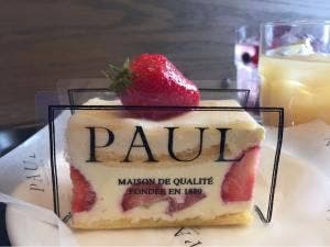 PAUL あざみ野店